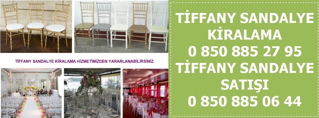 Abana Kastamonu tiffany sandalye kiralama